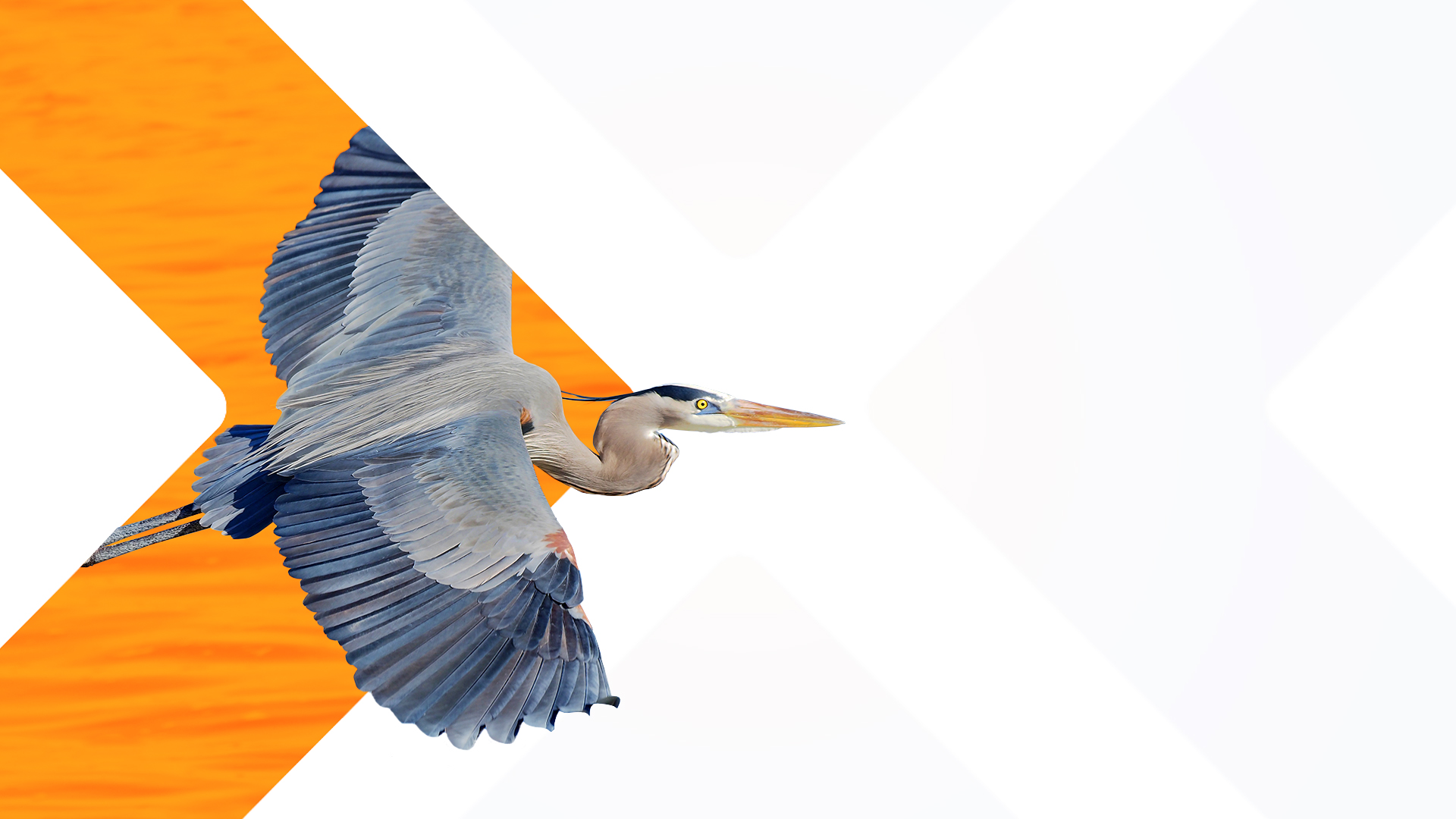 Wye River Group First Tryon Advisors