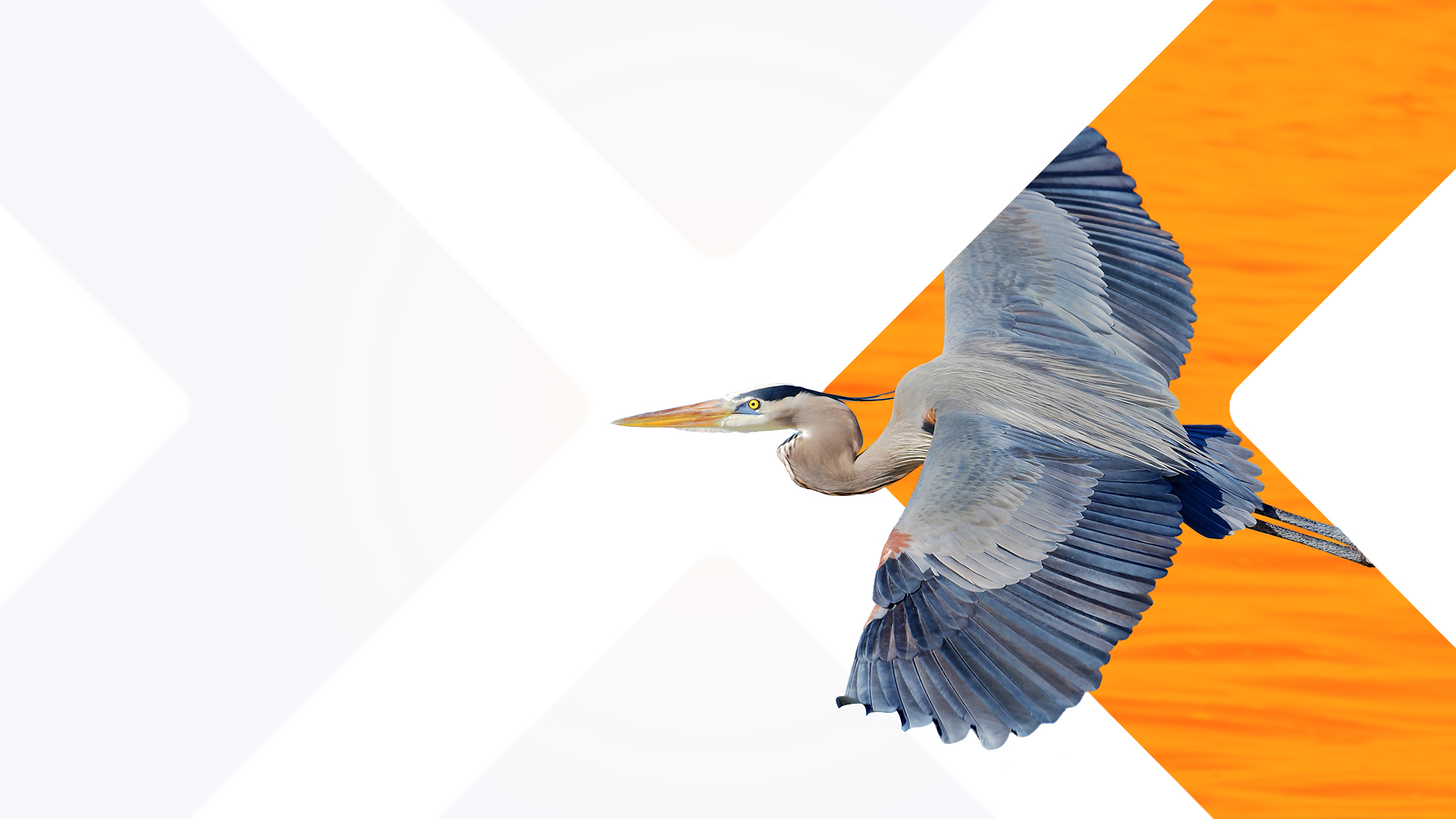 Wye River Group First Tryon Advisors